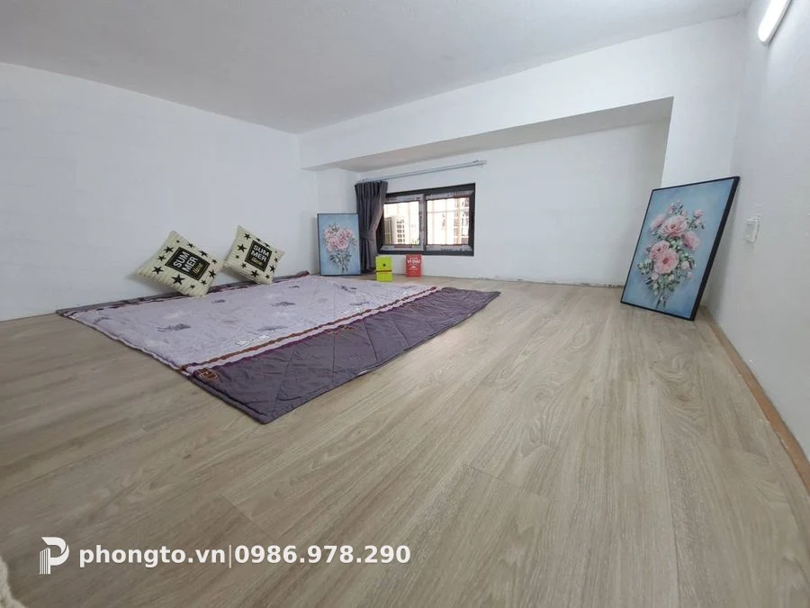 Gác Xép Vũ Tông Phan Thanh Xuân - PTGD-2378 (ảnh 5)