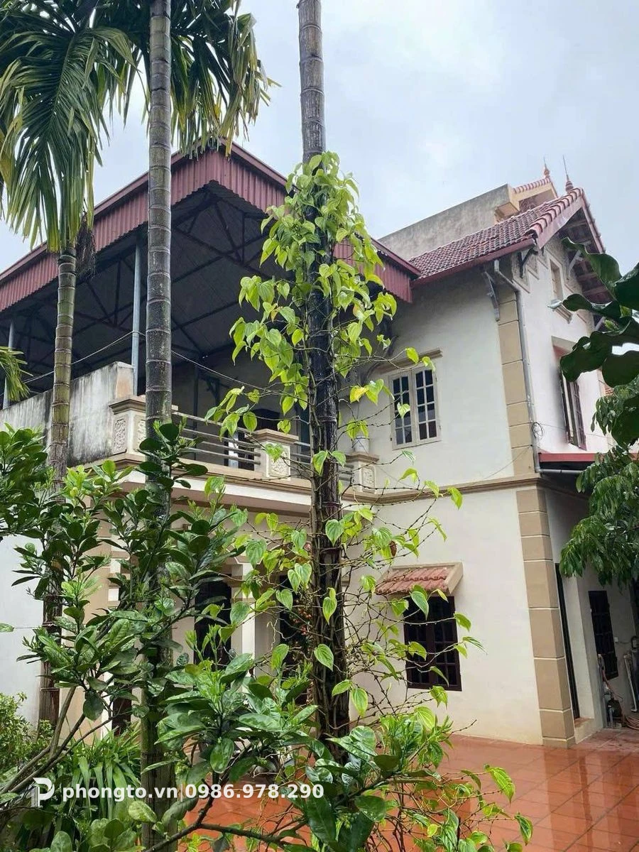 Studio VÂN CANH Hoài Đức - PTGD-536 (ảnh 5)